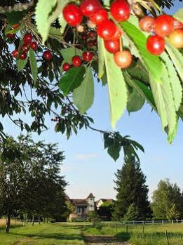 Domaine De Borie Chambres D'Hotes Bretenoux 외부 사진